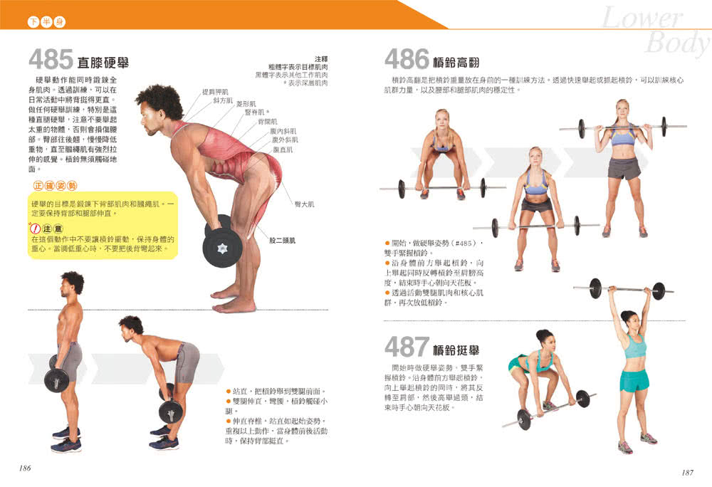 科學健身解剖：501式肌肉力量訓練