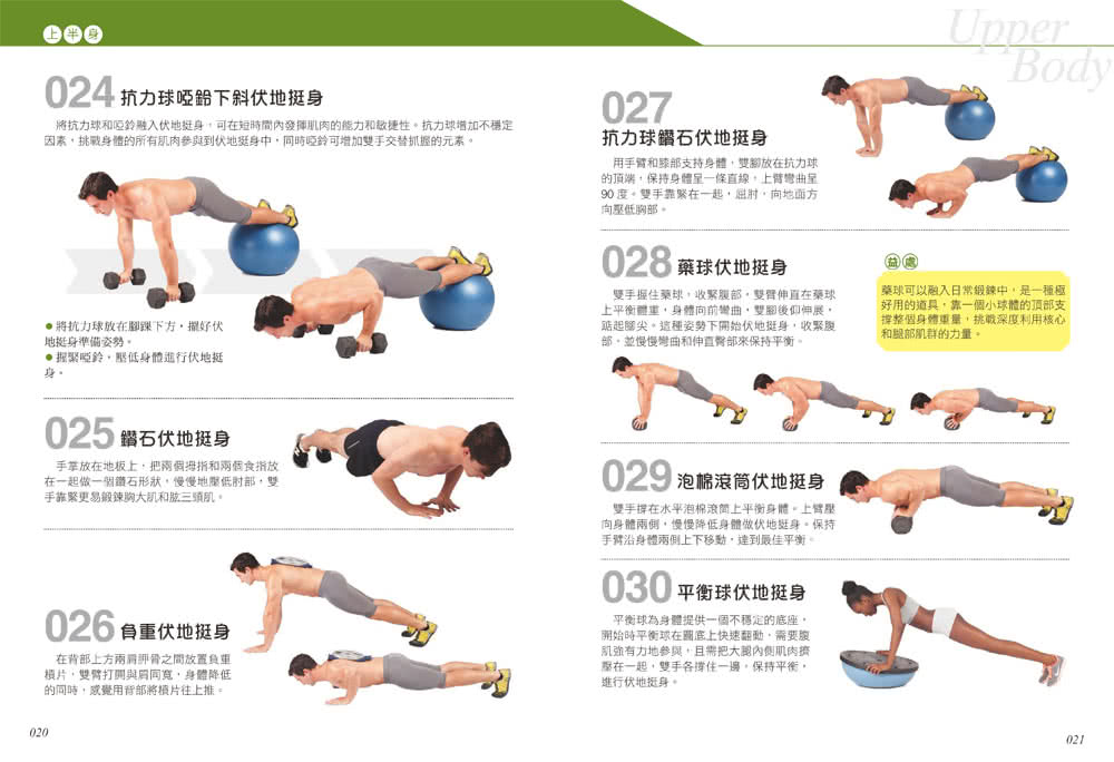 科學健身解剖：501式肌肉力量訓練