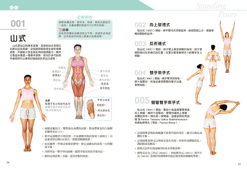 科學健身解剖：501式瑜伽伸展訓練