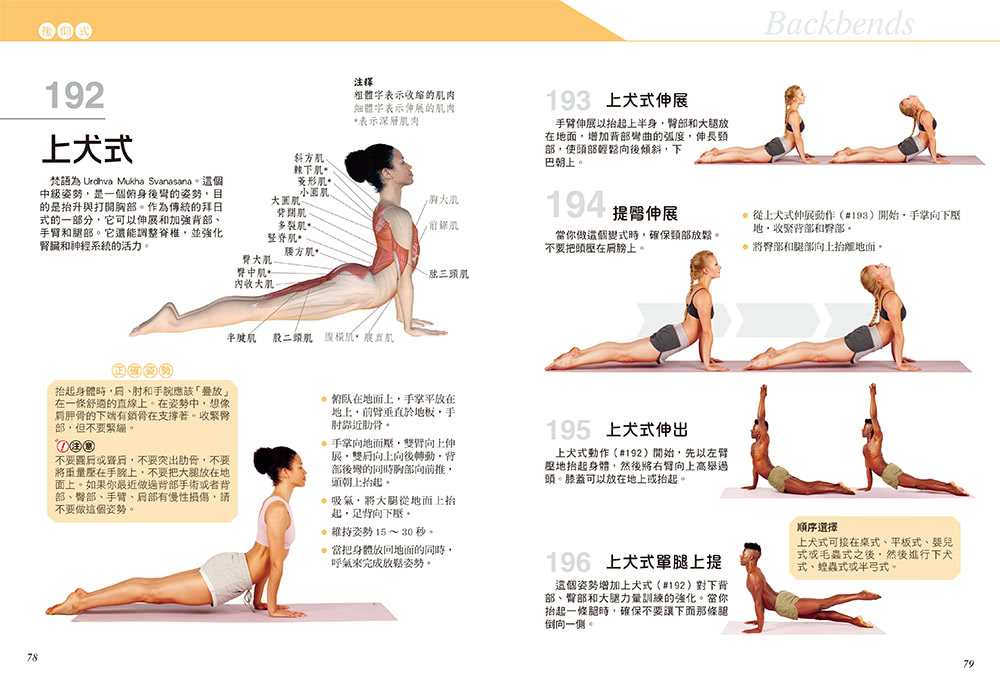 科學健身解剖：501式瑜伽伸展訓練