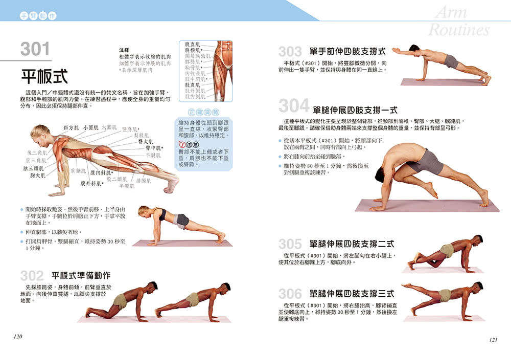 科學健身解剖：501式瑜伽伸展訓練