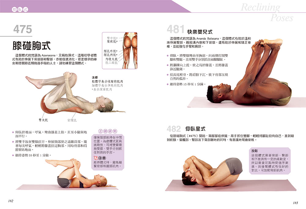 科學健身解剖：501式瑜伽伸展訓練