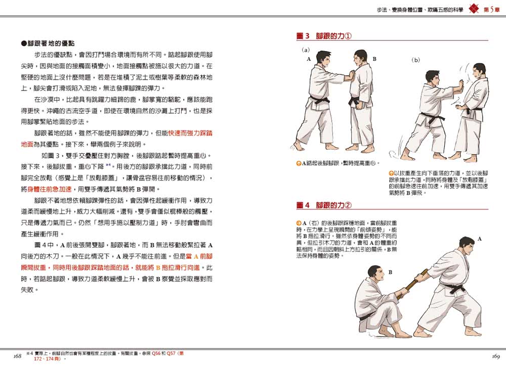 圖解武術的科學：實戰取勝的關鍵（修訂版）