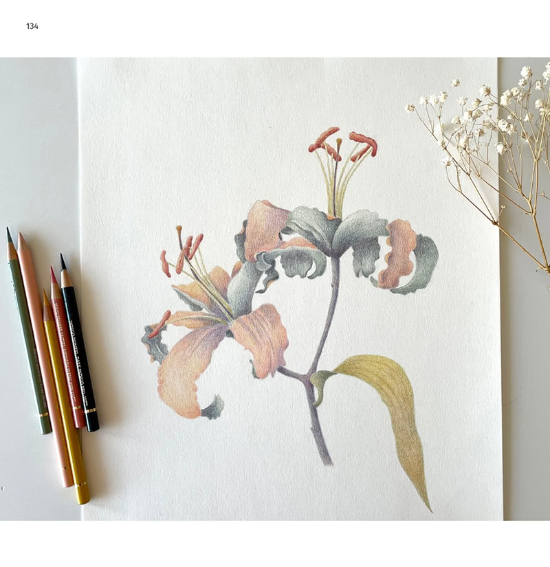色鉛筆的基本：從選筆、色彩、筆觸到作品 自然風手繪的必修課