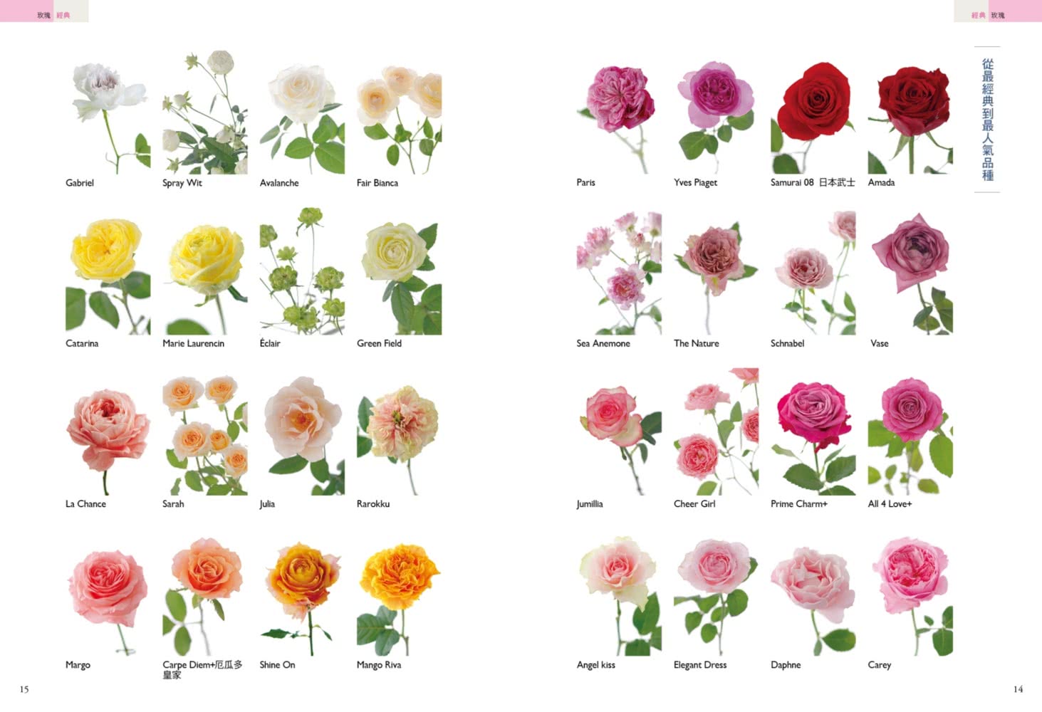 花的實用圖鑑：嚴選327款花卉植物、850款相近品種，從購買、插花到照顧，優雅享受有花的日子