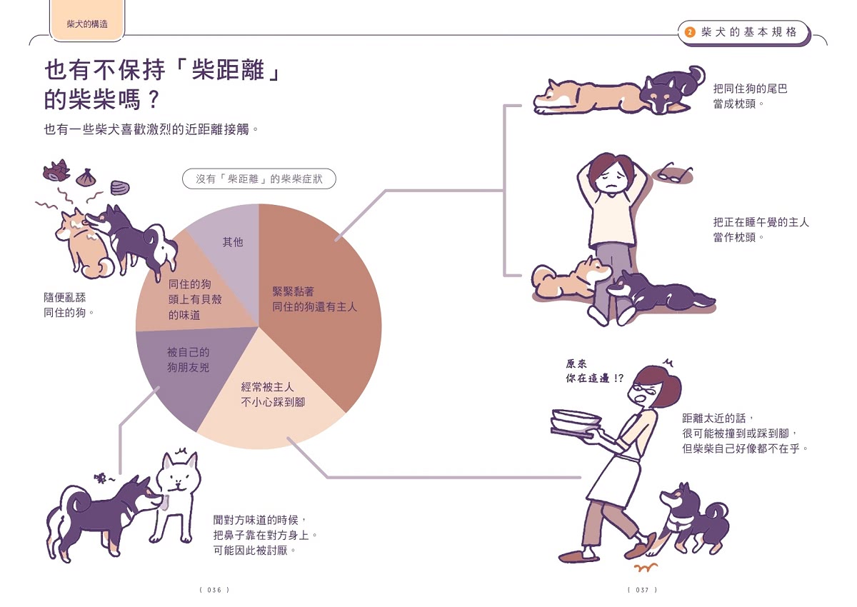 柴友必備！跟柴柴心意相通的「柴犬使用手冊」：從相處與飼養知識、柴柴怪癖到有趣日常