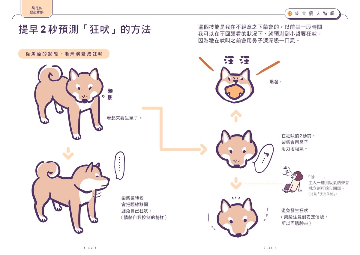 柴友必備！跟柴柴心意相通的「柴犬使用手冊」：從相處與飼養知識、柴柴怪癖到有趣日常