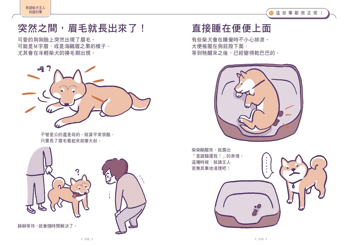 柴友必備！跟柴柴心意相通的「柴犬使用手冊」：從相處與飼養知識、柴柴怪癖到有趣日常