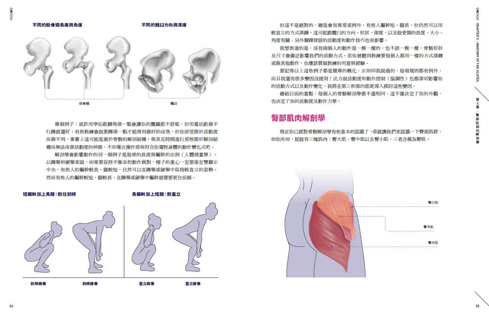 臀肌研究所：鍛鍊人體最大發力引擎 舉更重、跳更高、衝更快 預防傷害、打造翹臀的訓練全書