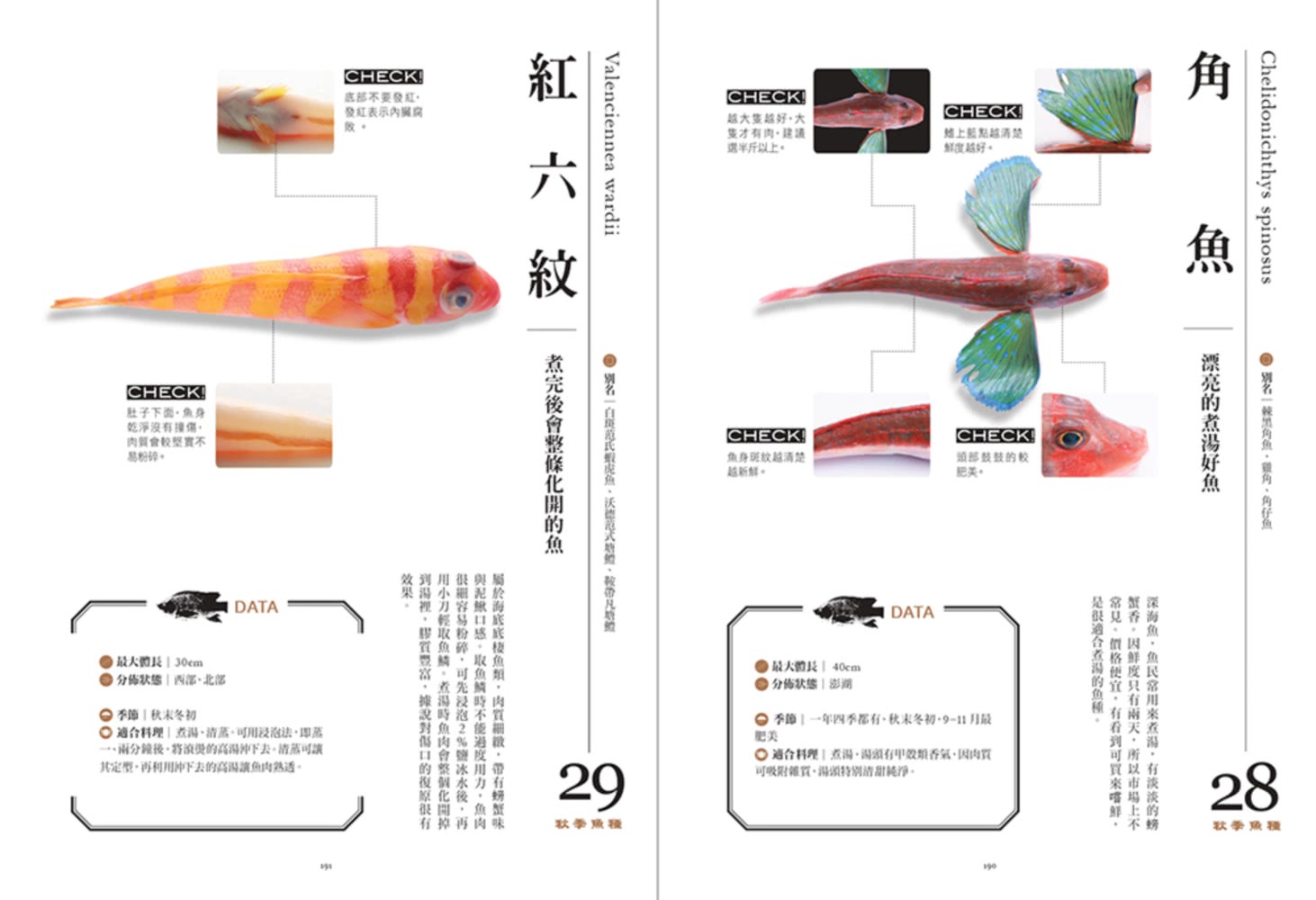 餐桌上的魚百科：跟著魚汛吃好魚，從挑選、保存、處理、熟成到料理的全食材事典（典藏增訂版）