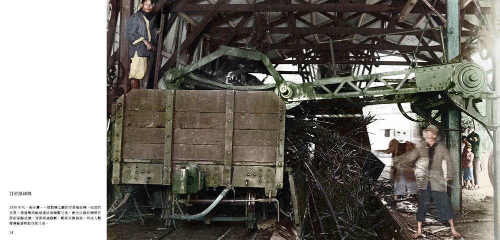 閃耀台灣五：台灣原生物產1860-1960