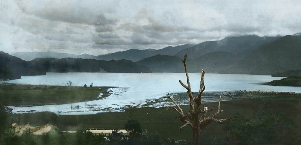 閃耀台灣六：台灣自然生態1860-1960