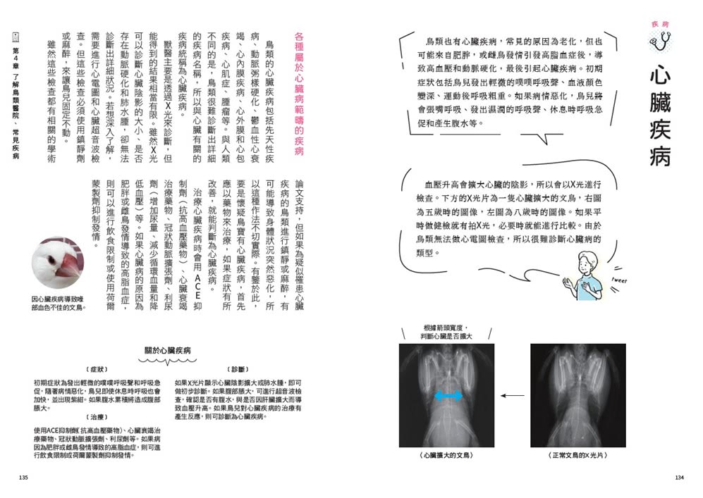 鳥醫生的養鳥小百科：25種常見家鳥 從鸚鵡、文鳥到雀科 與啾星人交心的飼養訣竅