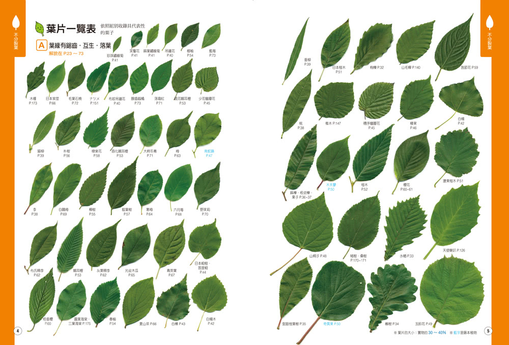 專為孩子設計！趣味樹木圖鑑：認識450種常見植物，打造自主學習力！