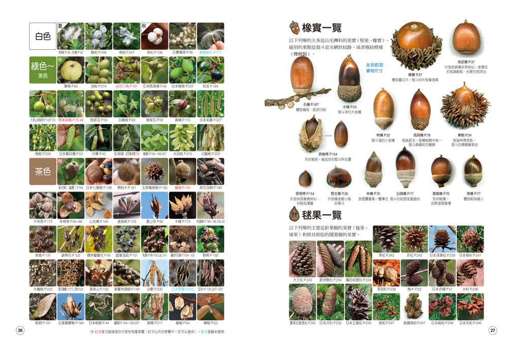 專為孩子設計！趣味樹木圖鑑：認識450種常見植物，打造自主學習力！