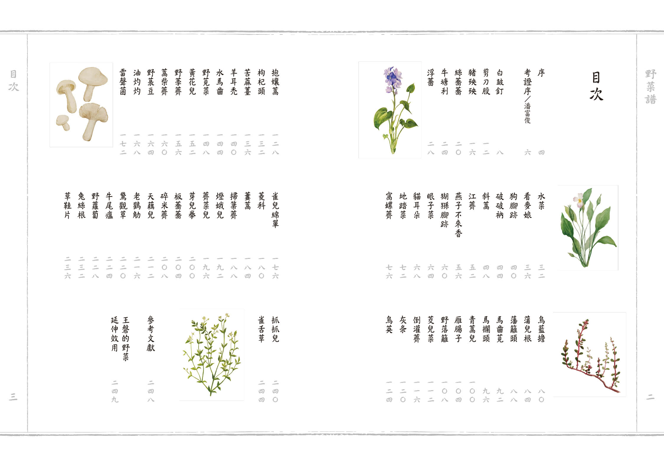 野菜譜：明朝的荒年寶典，60種可食可藥用的雜草野花（一書一袋）