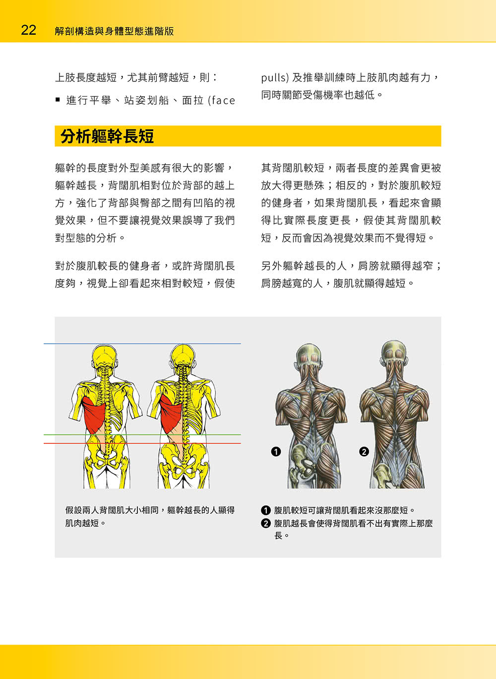 進階肌力訓練解剖聖經 2 － 高手只做不說的關鍵檔案 （附 加大手繪肌肉解剖圖海報）