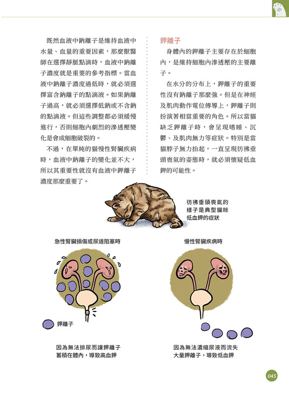 超強圖解 貓慢性腎臟疾病早期診斷與控制