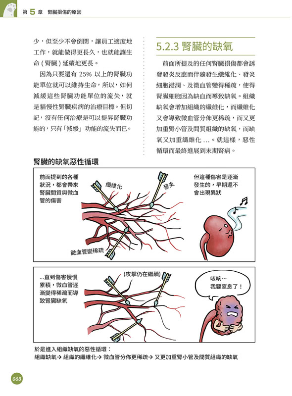 超強圖解 貓慢性腎臟疾病早期診斷與控制