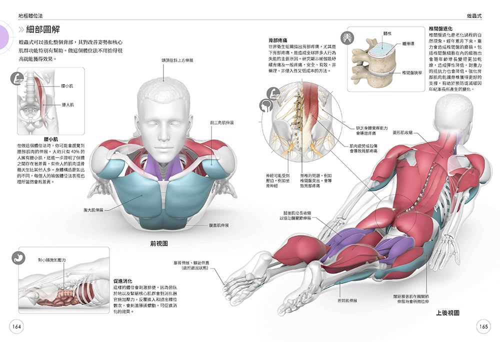 瑜伽科學解析 － 從解剖學與生理學的角度深入學習