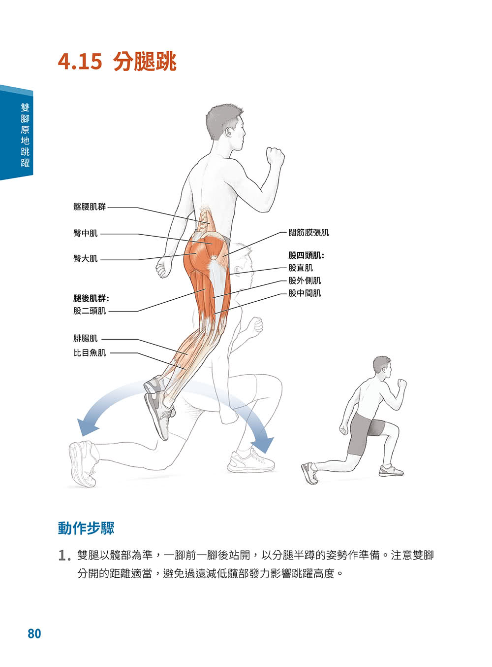 運動員增強式訓練解剖精解：強化爆發力、敏捷性、整體運動表現