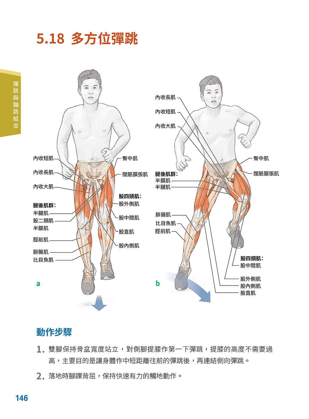 運動員增強式訓練解剖精解：強化爆發力、敏捷性、整體運動表現