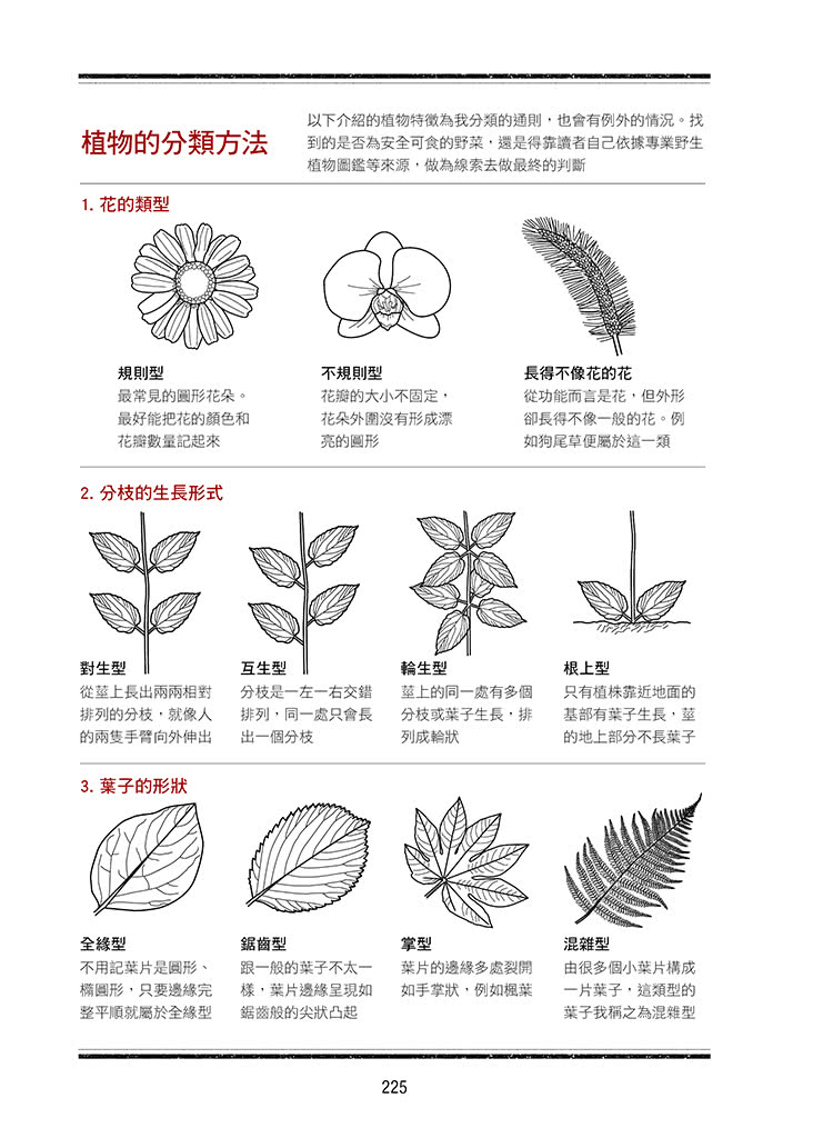 野營技術教本 詳細圖解 － 大自然就是我的遊樂場