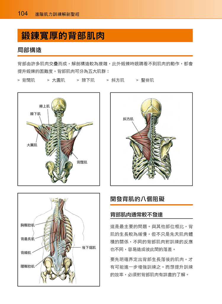 進階肌力訓練解剖聖經（附健美肌肉解剖圖海報）