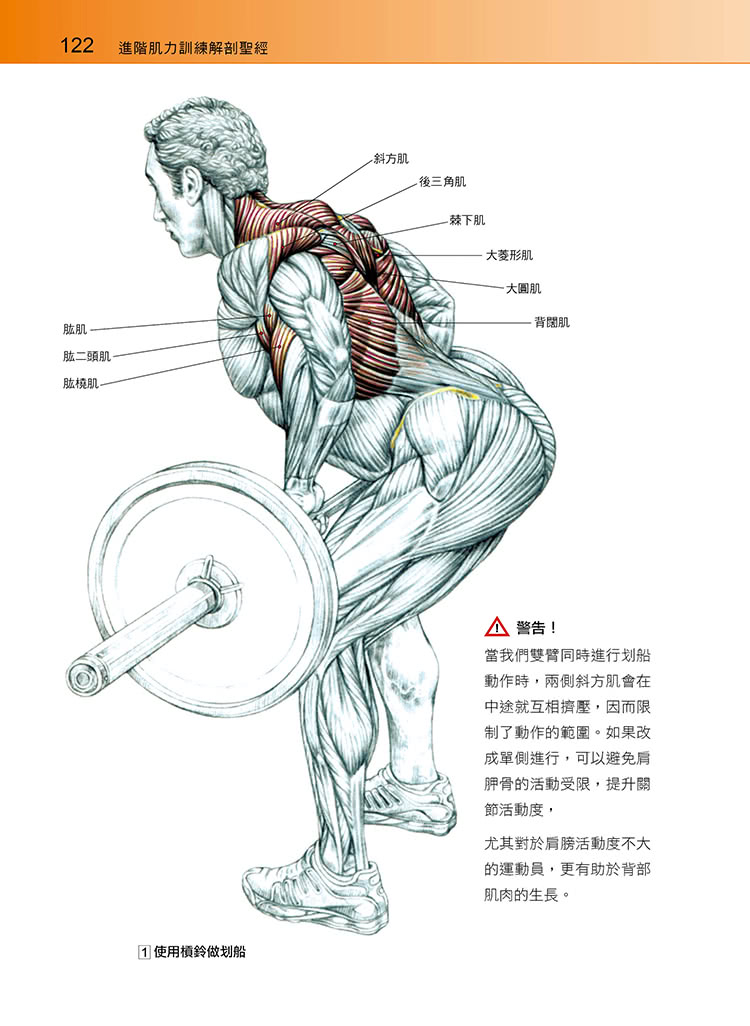 進階肌力訓練解剖聖經（附健美肌肉解剖圖海報）