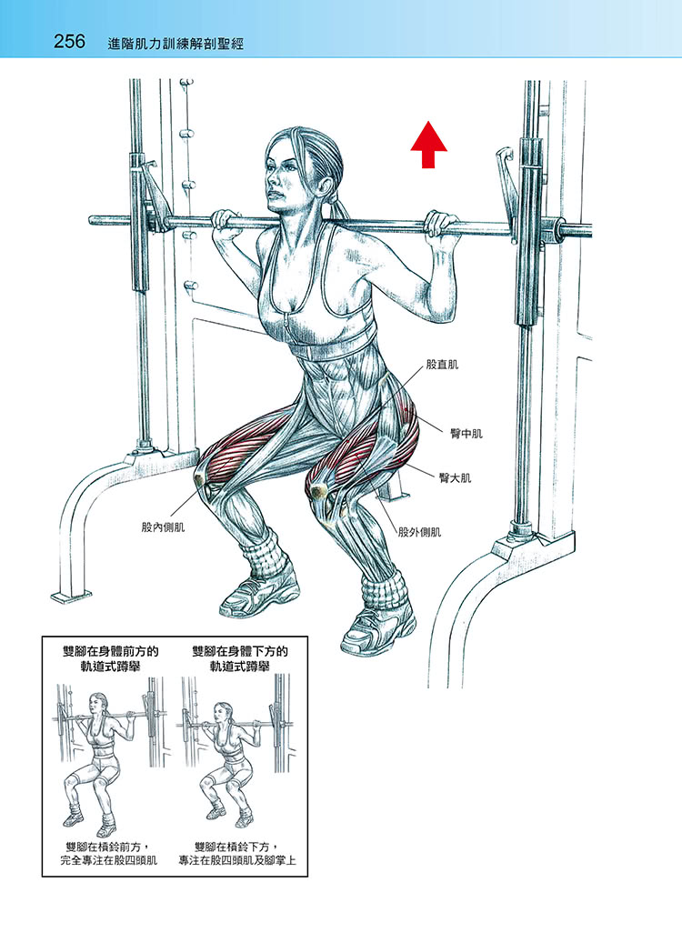 進階肌力訓練解剖聖經（附健美肌肉解剖圖海報）