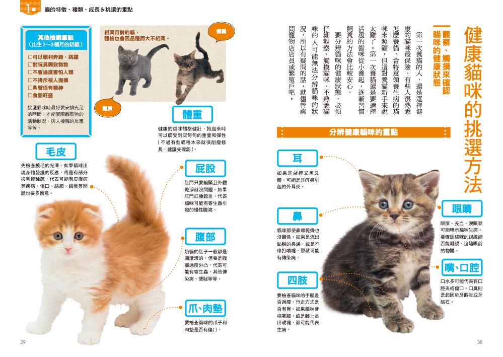 貓咪的心情＆飼育學習指南