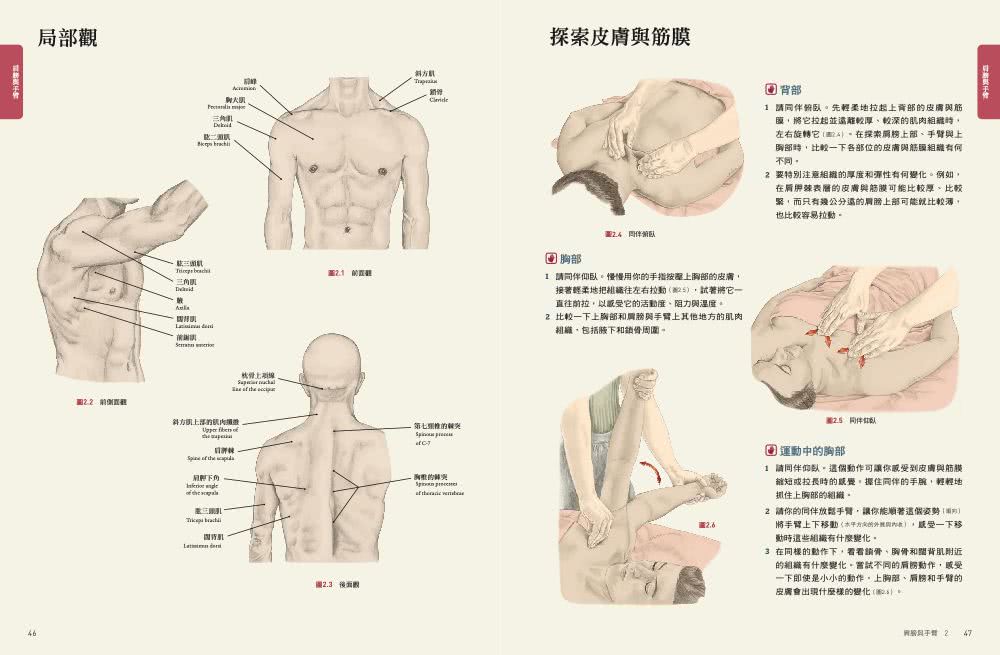 人體解剖套書 新修版：《人體解剖全書 第三版》＋《人體運動解剖全書 新修版》兩冊合售