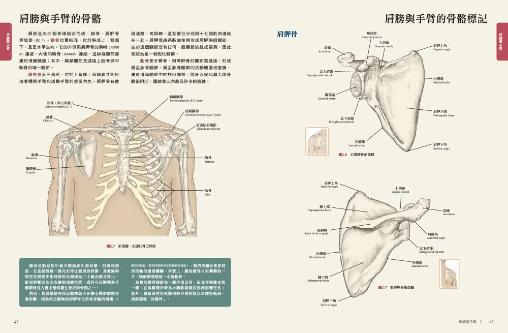 人體解剖套書 新修版：《人體解剖全書 第三版》＋《人體運動解剖全書 新修版》兩冊合售