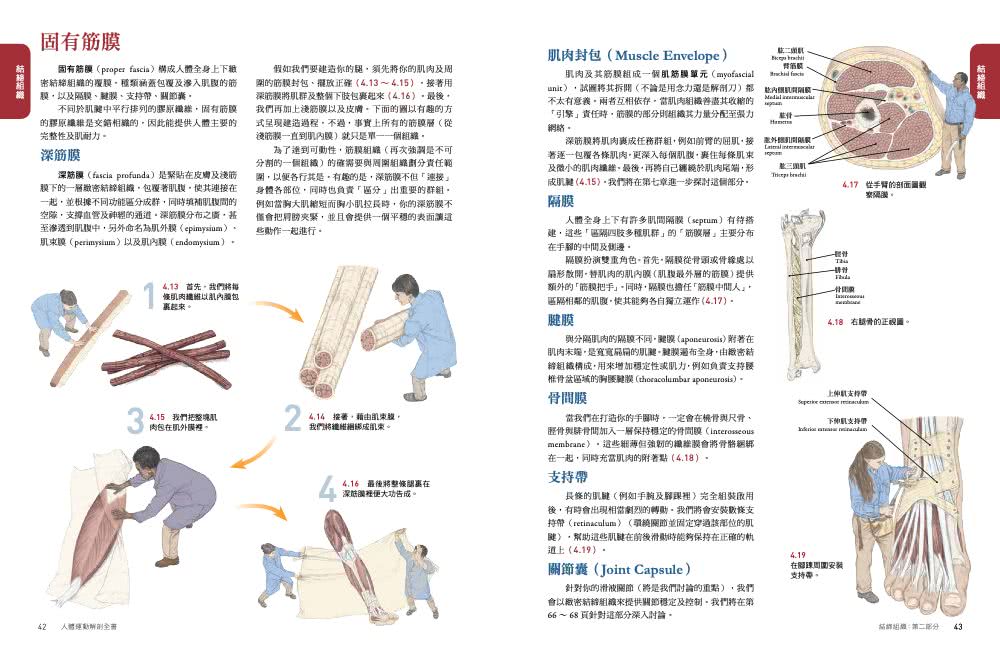 人體解剖套書 新修版：《人體解剖全書 第三版》＋《人體運動解剖全書 新修版》兩冊合售