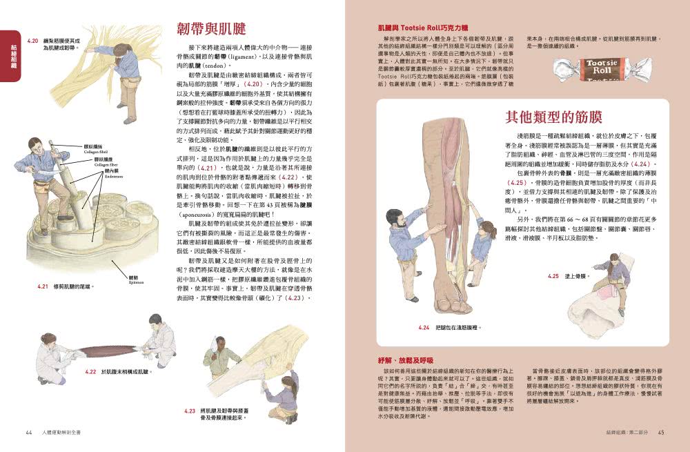 人體解剖套書 新修版：《人體解剖全書 第三版》＋《人體運動解剖全書 新修版》兩冊合售