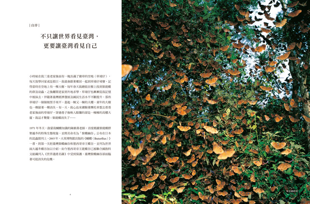 追蝶人：詹家龍與臺灣最美86隻蝴蝶的故事（永久珍藏•極美蝶舞小海報2張）