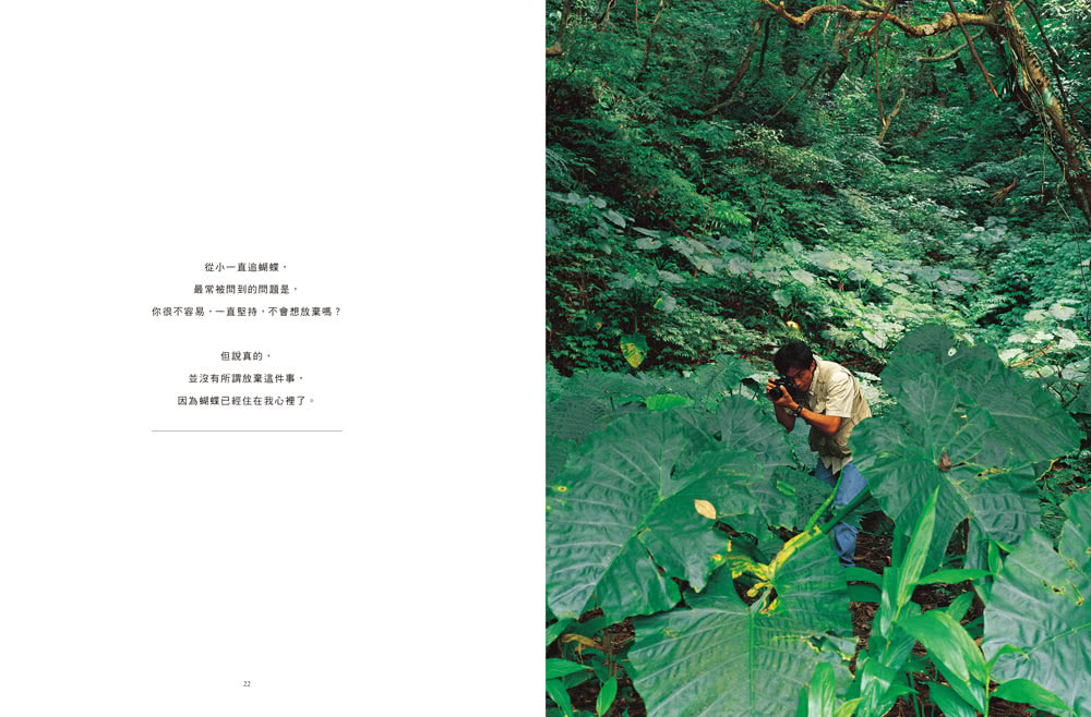 追蝶人：詹家龍與臺灣最美86隻蝴蝶的故事（永久珍藏•極美蝶舞小海報2張）