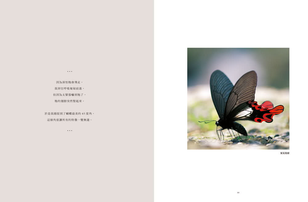 追蝶人：詹家龍與臺灣最美86隻蝴蝶的故事（永久珍藏•極美蝶舞小海報2張）