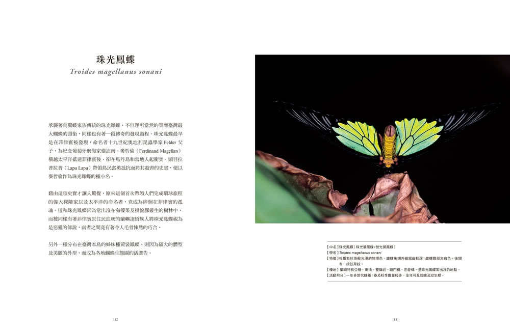 追蝶人：詹家龍與臺灣最美86隻蝴蝶的故事（永久珍藏•極美蝶舞小海報2張）