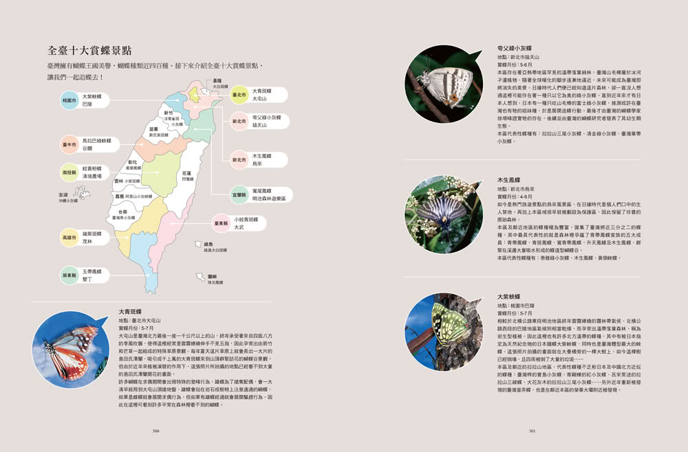 追蝶人：詹家龍與臺灣最美86隻蝴蝶的故事（永久珍藏•極美蝶舞小海報2張）