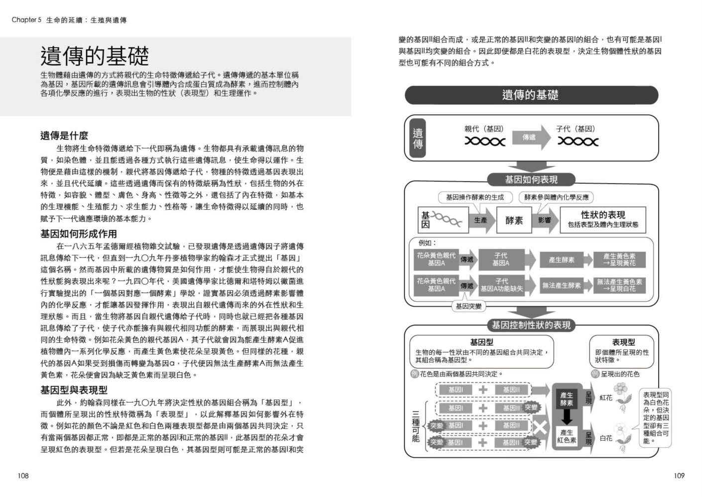 圖解生命科學 更新版