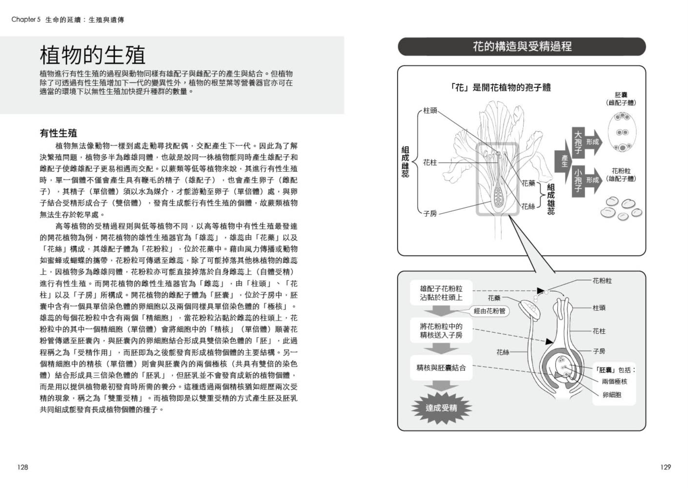 圖解生命科學 更新版