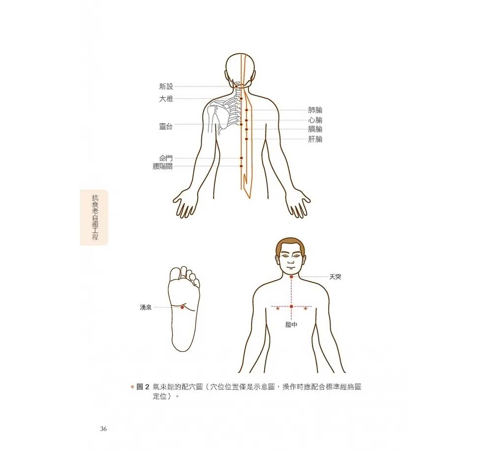 人體使用手冊：抗衰老自癒工程－－對抗疾病與老化，從臟腑自癒開始！