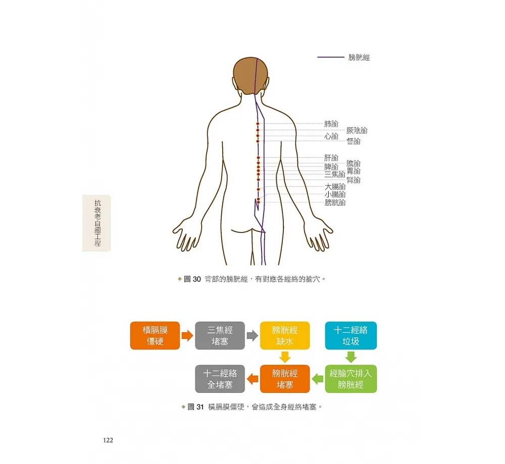 人體使用手冊：抗衰老自癒工程－－對抗疾病與老化，從臟腑自癒開始！