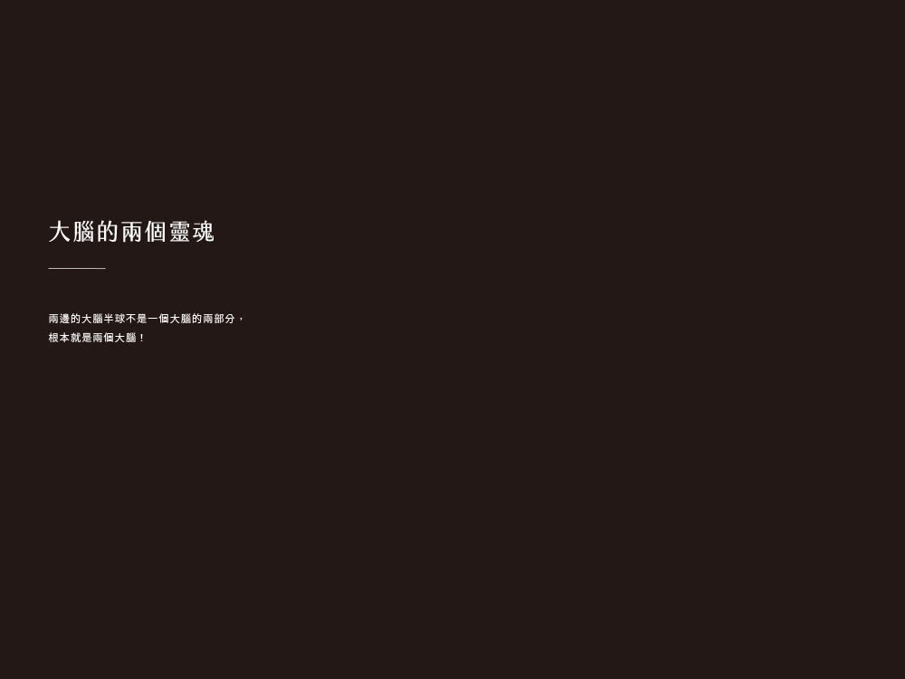 大腦不思議：圖說腦科學發展的神奇時刻