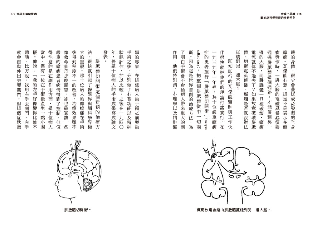 大腦不思議：圖說腦科學發展的神奇時刻