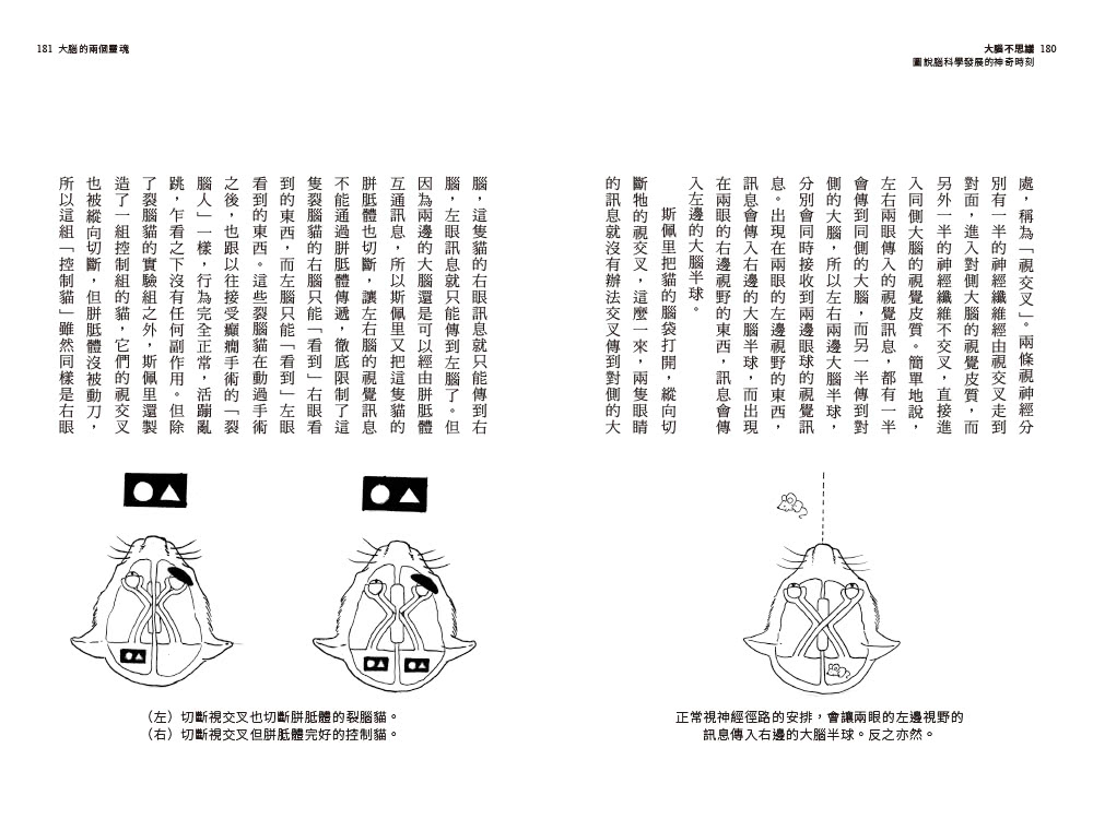 大腦不思議：圖說腦科學發展的神奇時刻