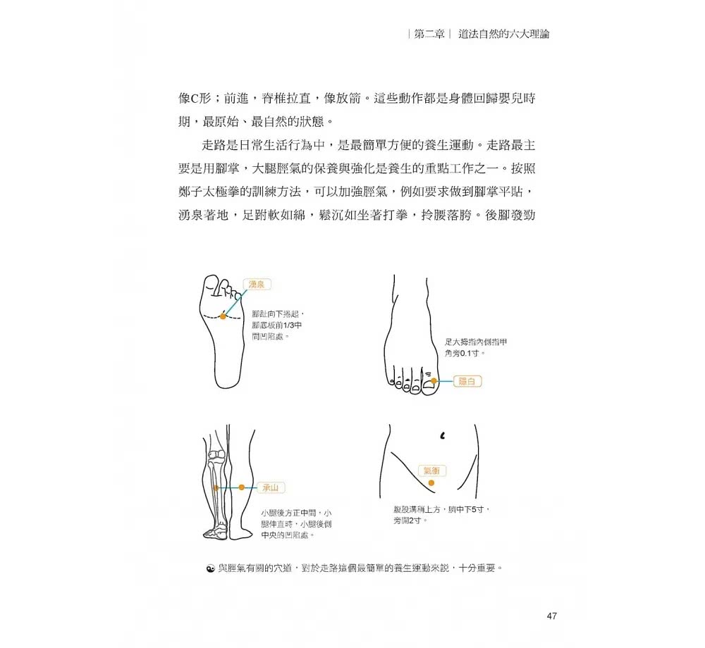 禪勁太極：超實踐！科學養生的太極拳勁