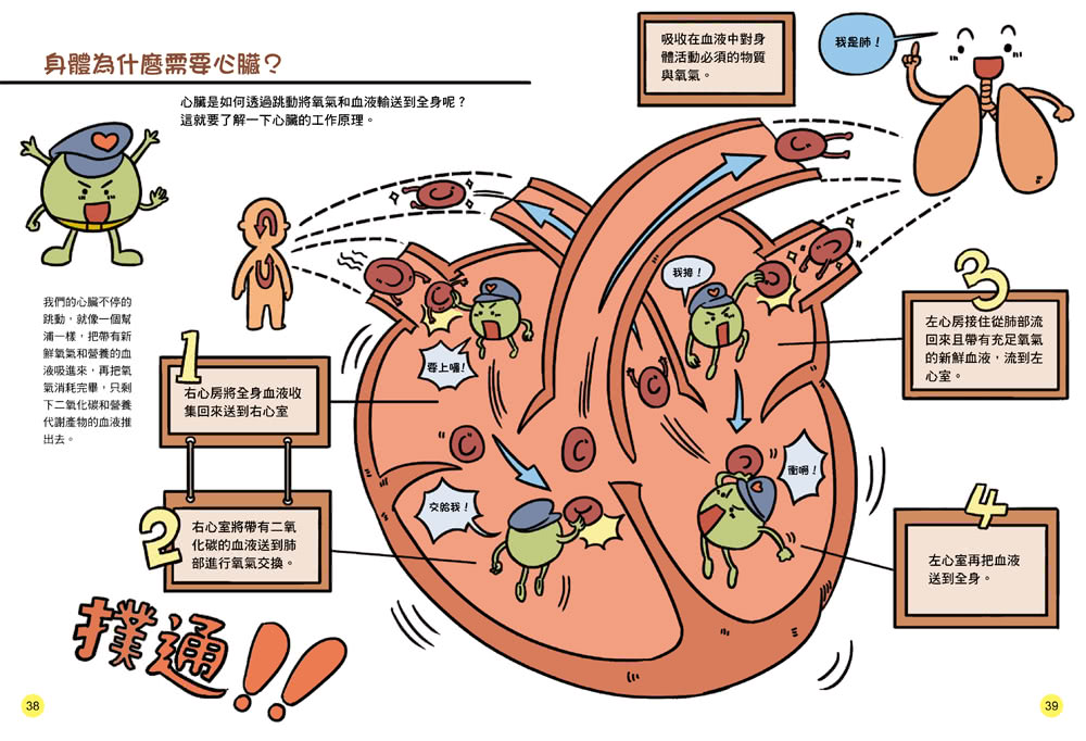 STEAM圖解百科：人體