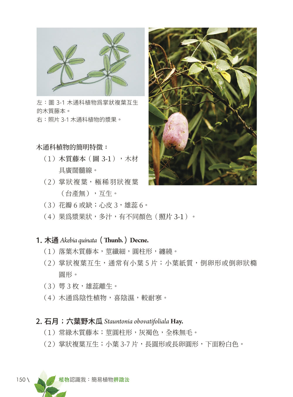 植物認識我：簡易植物辨識法